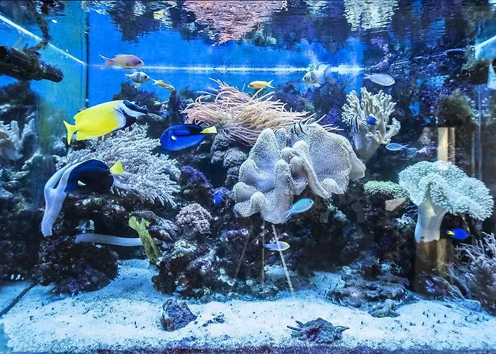 Zlote Arkady Отель Ченстохова